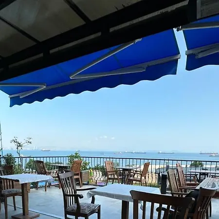 Queen Seagull Boutique