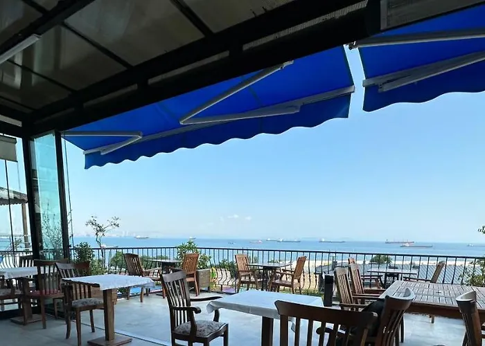 Queen Seagull Boutique