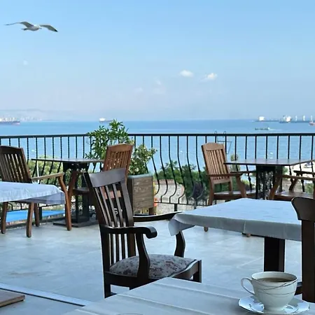 Queen Seagull Boutique Bed & Breakfast *