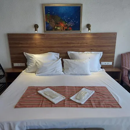 Bed and breakfast Queen Seagull Boutique