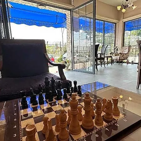 Queen Seagull Boutique