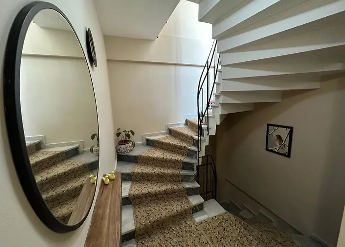 Bed & Breakfast Queen Seagull Boutique 4*