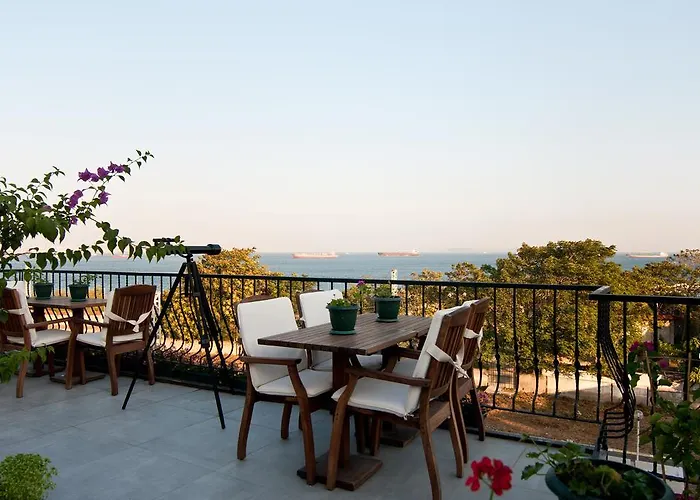 Queen Seagull Boutique